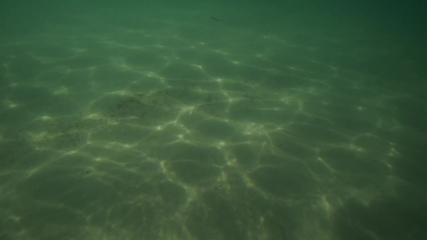 Green water at the ocean floor lit by sunlight rays