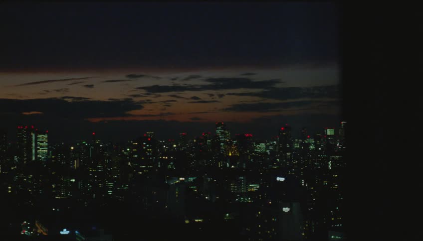 Silhouette of a woman on her phone in a building overlooking a metropolis at night