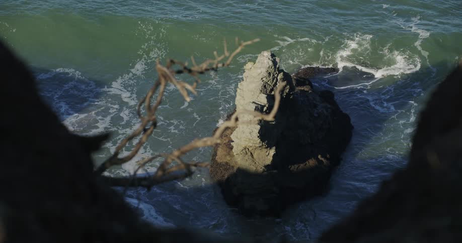 Dead tree clings to seaside cliff overlooking coastal rock formation