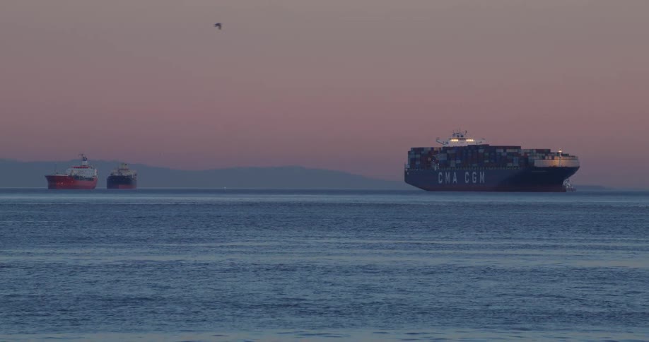 Bird flies through red sky over container ship and twosmaller ships