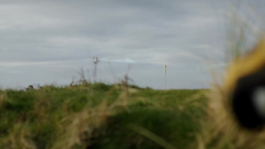 A person walks past a slope that is covered in green vegetation
