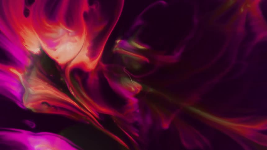 Abstract color bloom red orange fuchsia