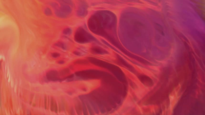 Dense and psychedelic fluid in slow motion