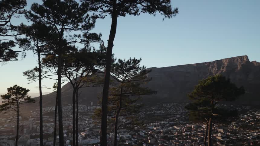 Trees line this hillside with a town below