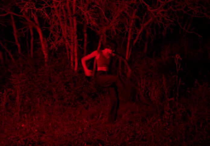 A woman dancing outdoors in a meadow at night