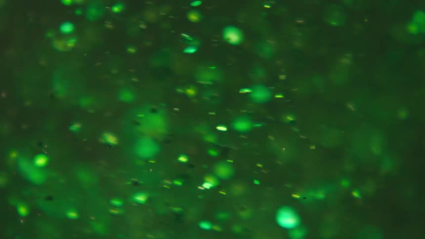 Yellow particles floating in water