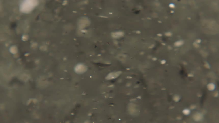 Shiny shimmering particles floating in liquid