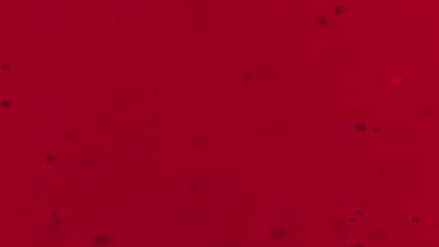 Particles floating in a red liquid