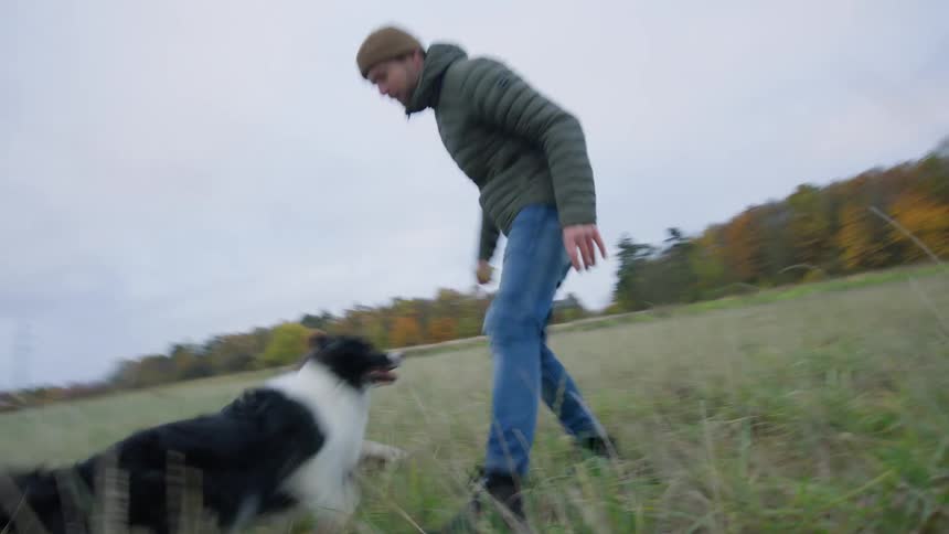 Dog playing and running after its owner who throws a tennis ball for it to fetch in a field on a cloudy day