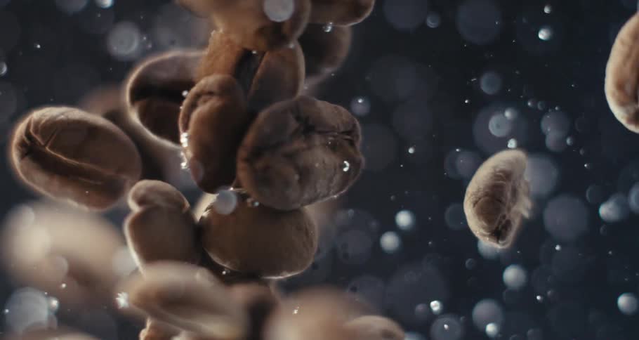 Roasted coffee beans floating in water