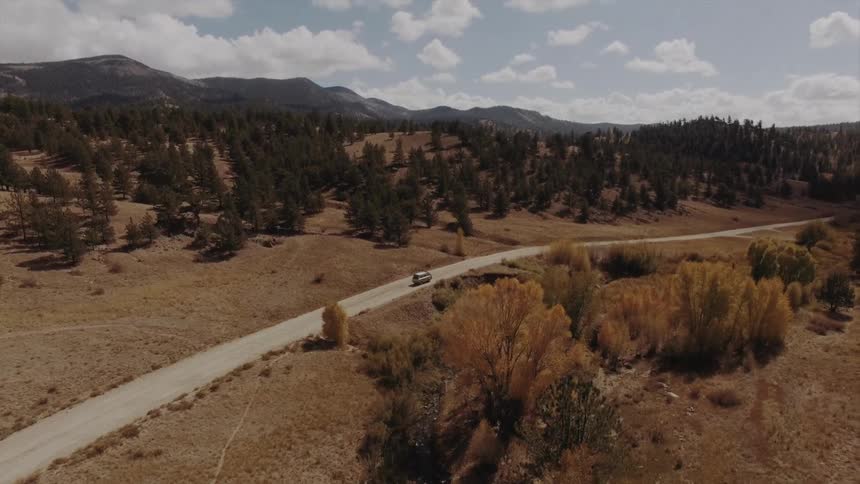 Aerial view of a vehicle on a road crossing the woods