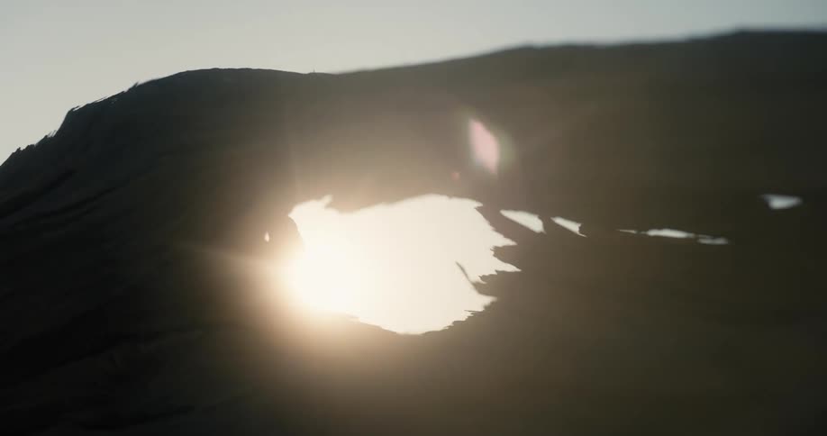Silhouette of a tree trunk with a hole allowing the passage of sunlight reflection