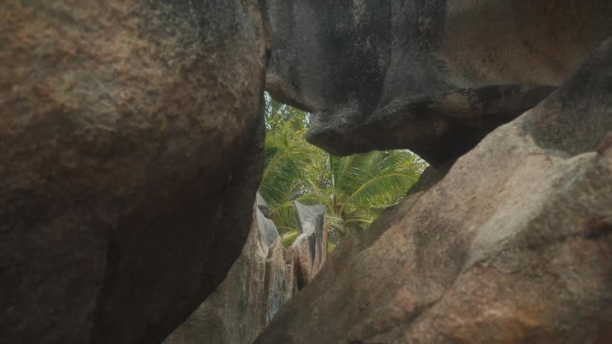 An opening in the rocks overlooking palm trees in nature
