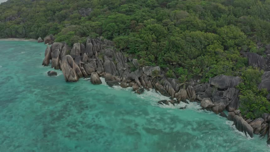 A coast with several rocks and a forest of trees and the water waves are hitting the rocks