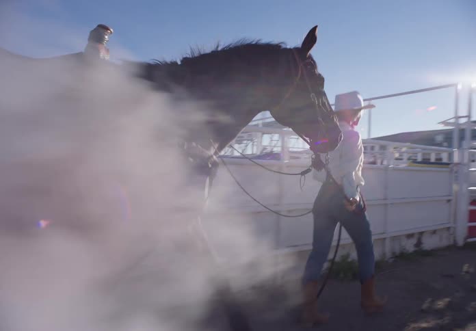 A woman leads a horse to the stables