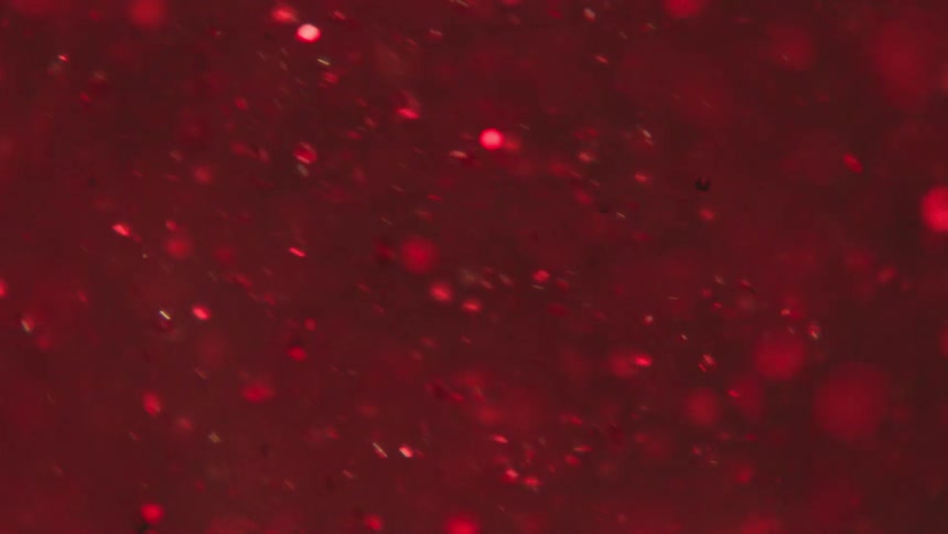 Shiny particles floating on a red liquid