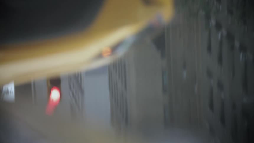 Reflection of feathers walking amidst a metropolis with passing cars and a red traffic light