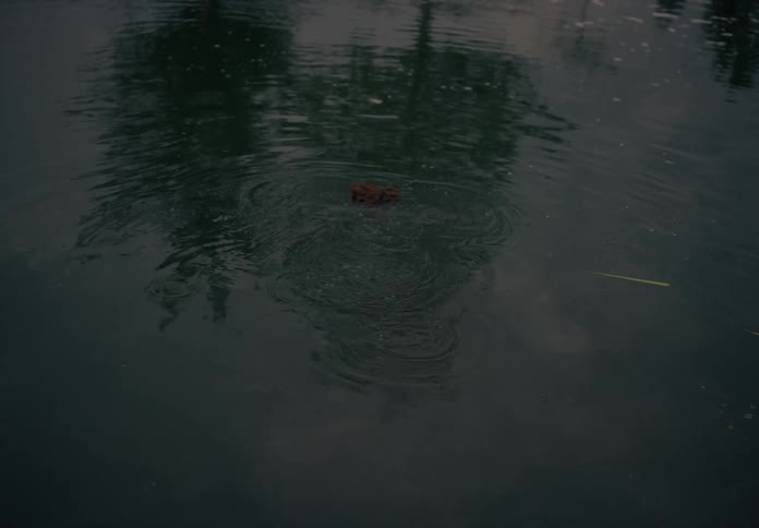 A young woman diving into a lake at dusk