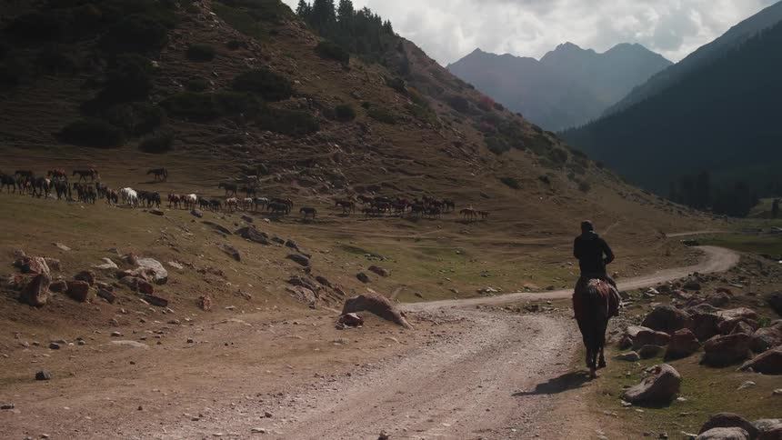 Man rides a horse on a road through the mountains