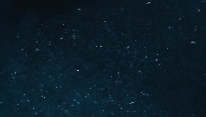 Flakes of glittery white specks flurry around against a dark blue background