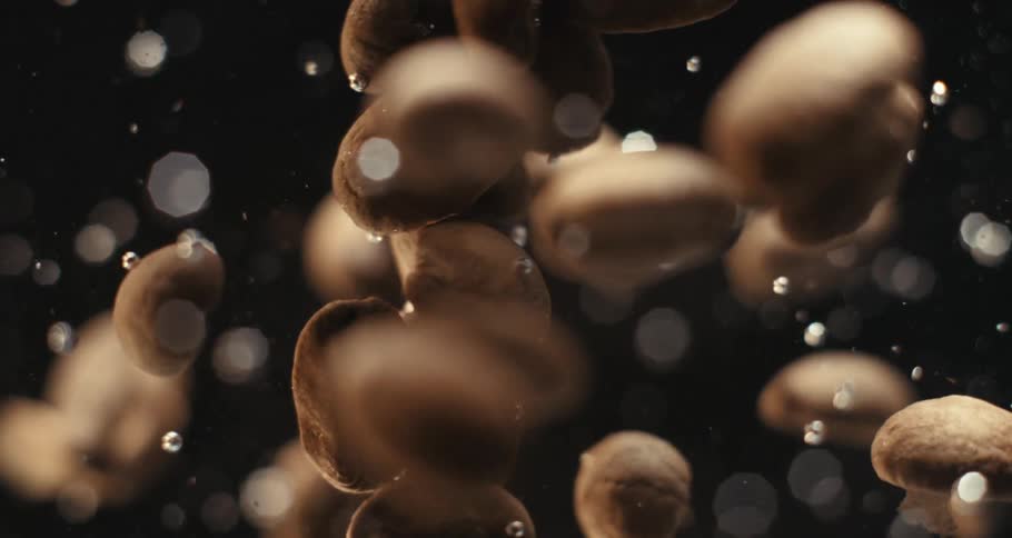 Coffee beans float like particles