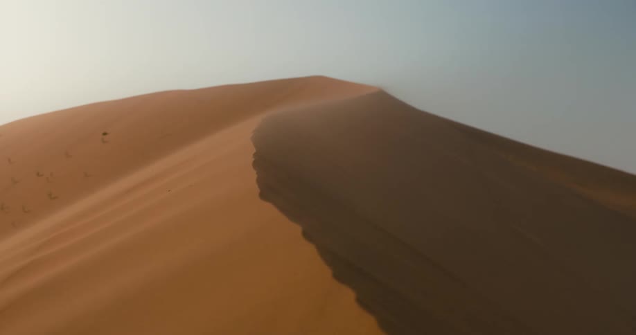 Sand dune in the desert