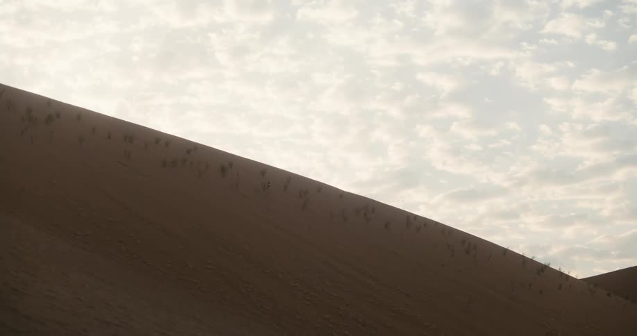 Landscape of sand dune in the desert