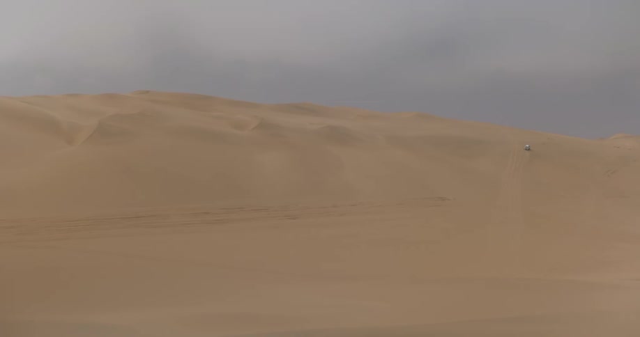 Panorama of the desert with sand dunes