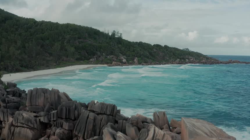 A bay beach next to a forest
