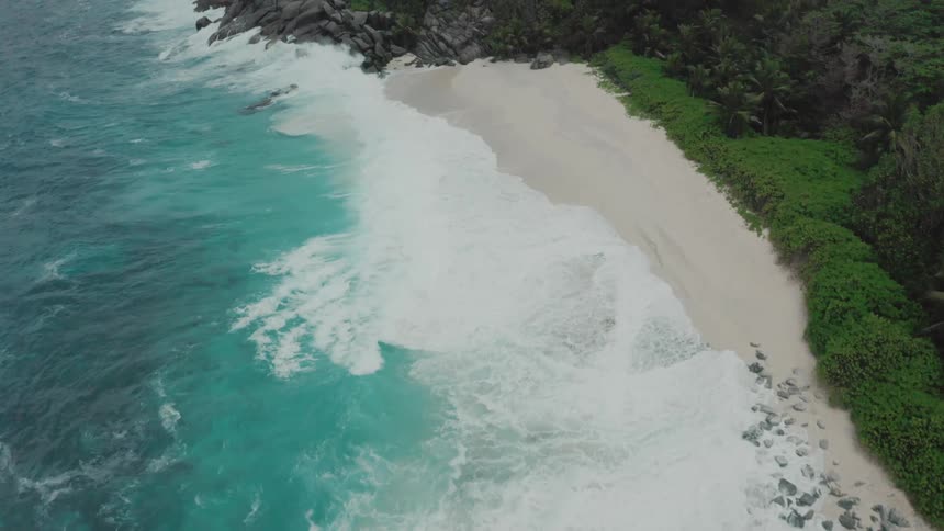 Waves foam upon reaching beach at base of forested mountains