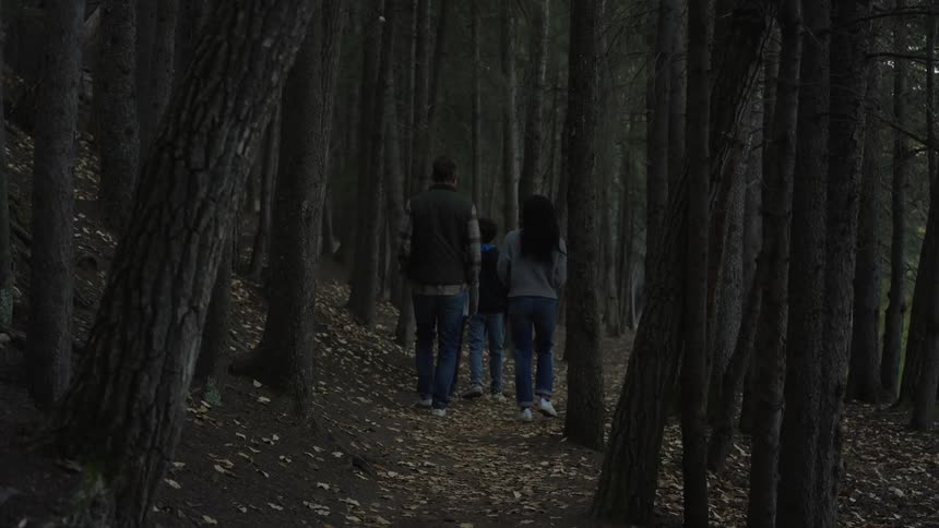 Family hiking on the forest