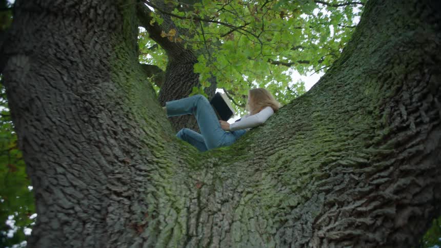 A young woman reading a book sitting in a tree