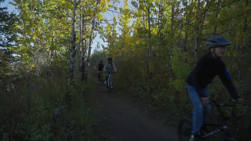 Family of four going through a forest trail on bicycles