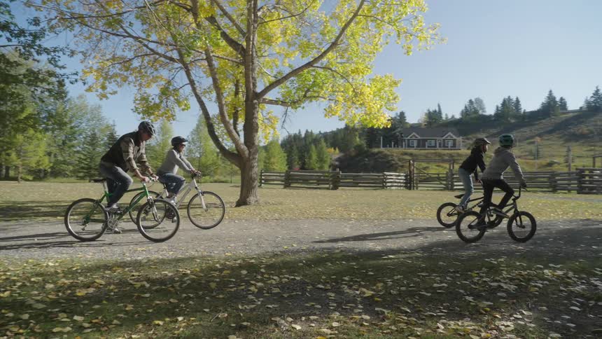 Some group of 4 people biking in the woods