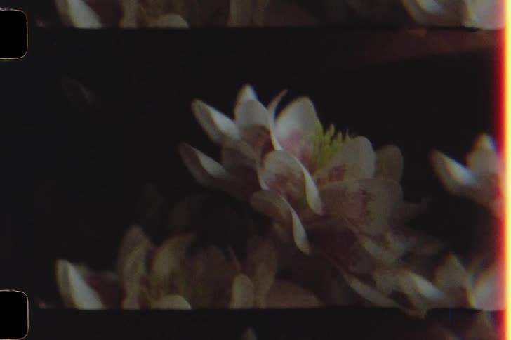 Interior decoration of a house caught on vintage film