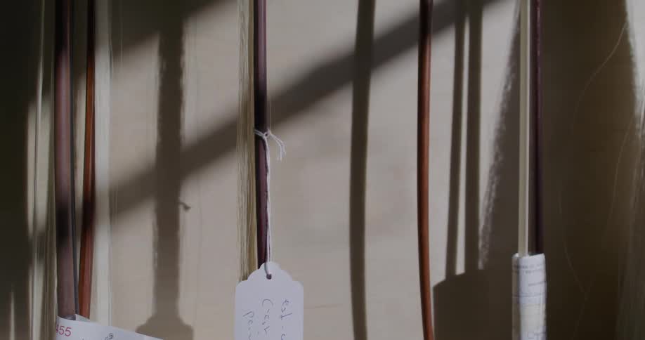 Labeled rods near mass of hair cast shadows onto wall