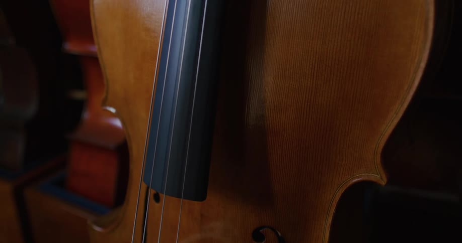 Closeup details of the varnish on a violin