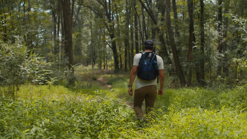 Man with backpack hikes through forest