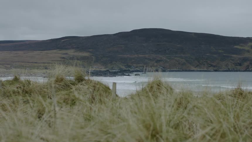 Surf rolls onto beach between field of tall grasses and mountain on an overcast day