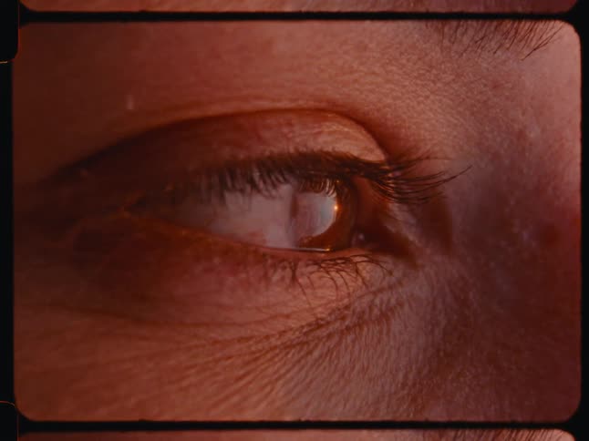 Extreme closeup of a womans eyes