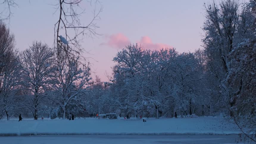 People walking in a park among trees covered in snow on a winter morning