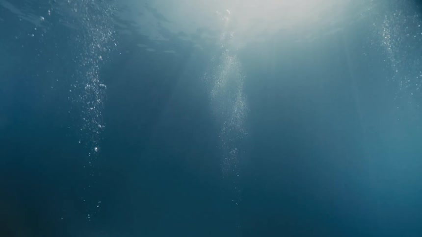 View from inside the sea of air bubbles rising to the surface