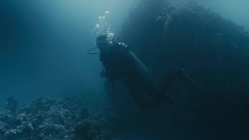Diver among the corals and reef