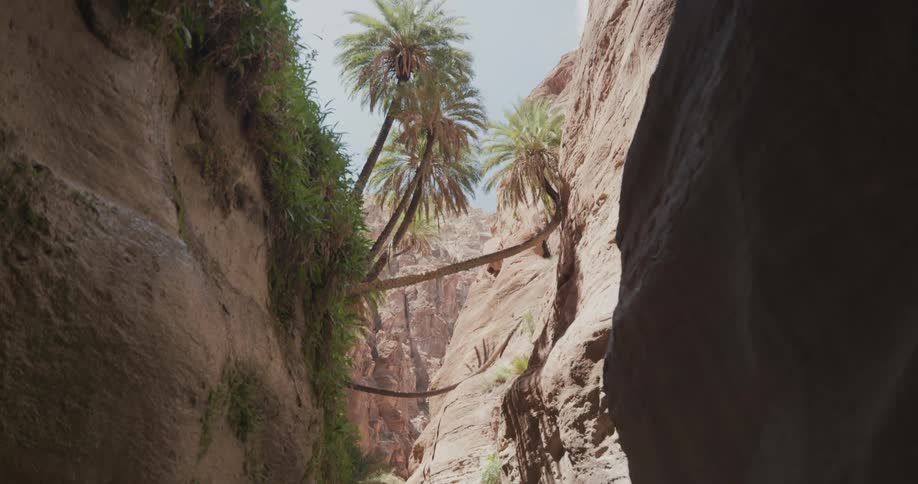 View of a trail amidst canyons during the day