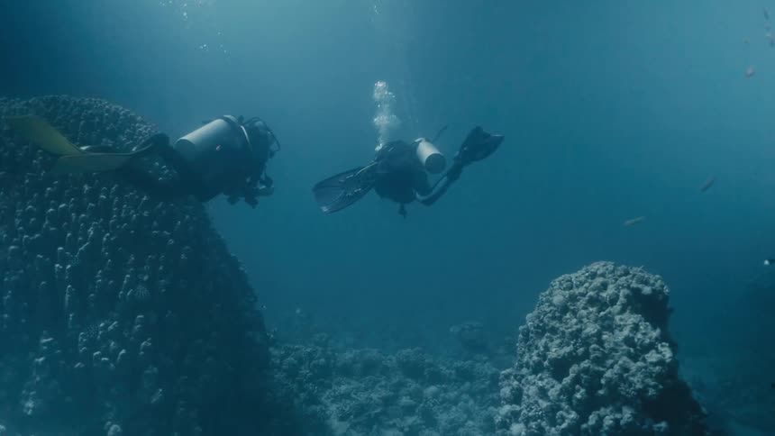 Divers exploring the ocean floor