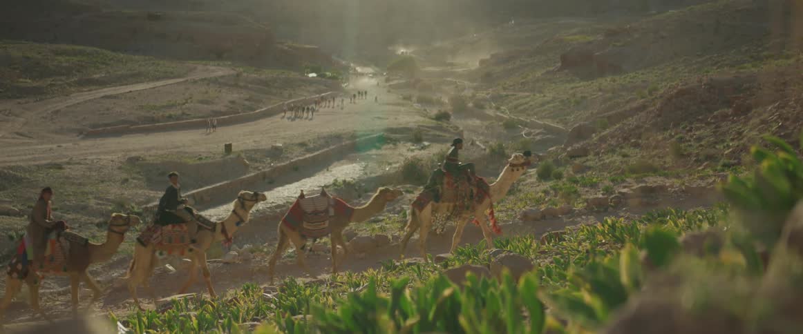 People on camels ride through fields of plants on slope overlooking pedestrians walking along road on a sunny day