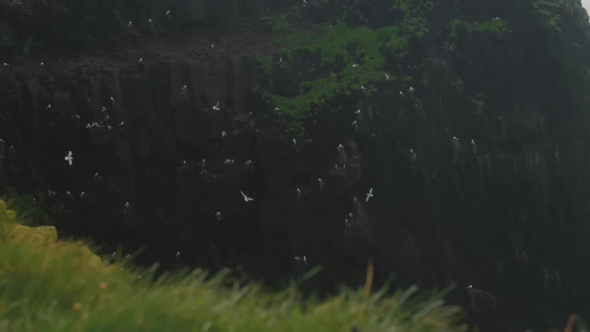 Panorama of a mountain with birds soaring overhead