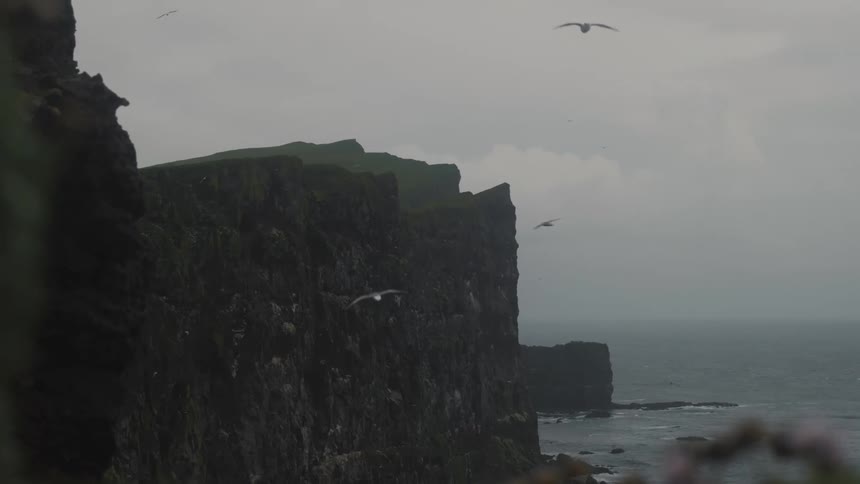 A large rock formation sits near the ocean with seagulls flying above