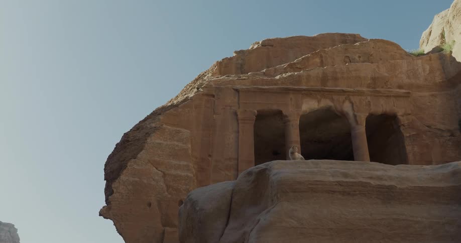 A cat in front of a pillar entrance carved into a mountain