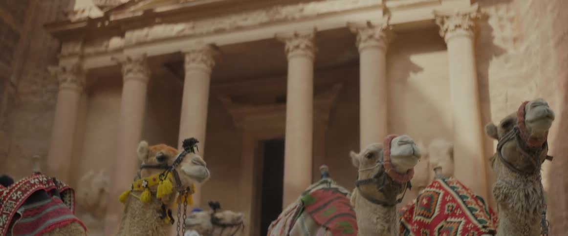 Camels wait in front of historic carved stone building